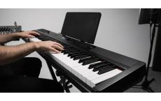 Artesia PE-88 β Π΄ΠΎΡΡΡΠΏΠ½ΠΎΠ΅ ΡΠΈΡΡΠΎΠ²ΠΎΠ΅ ΠΏΠΈΠ°Π½ΠΈΠ½ΠΎ Π½Π° 88 ΠΊΠ»Π°Π²ΠΈΡ Π΄Π»Ρ Π±ΠΎΠ»ΡΡΠΈΡ
ΠΌΡΠ·ΡΠΊΠ°Π»ΡΠ½ΡΡ
ΠΈΠ΄Π΅ΠΉ